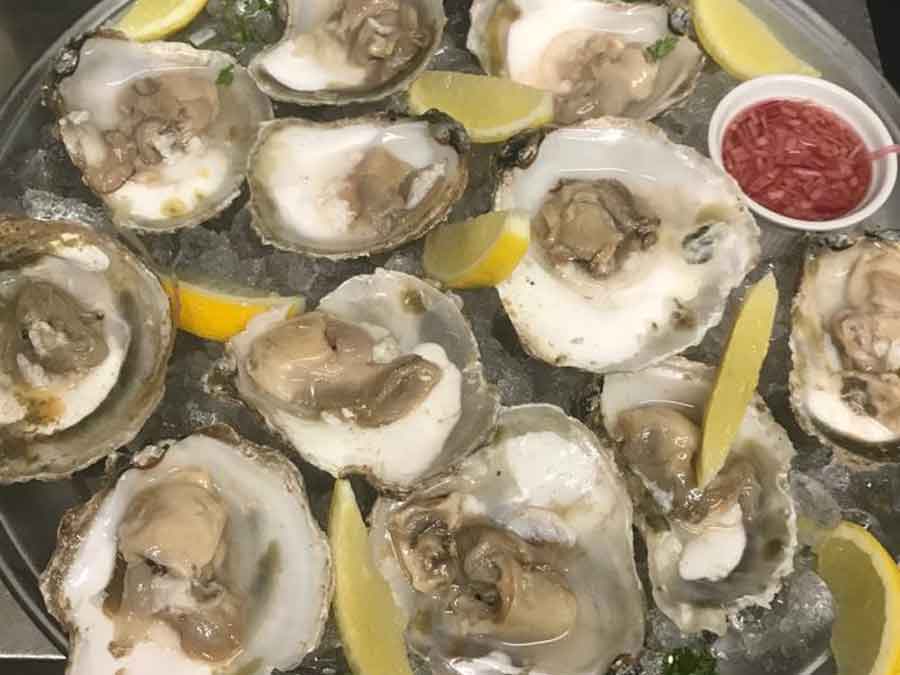 Cornish Arms Frogpool special order oysters